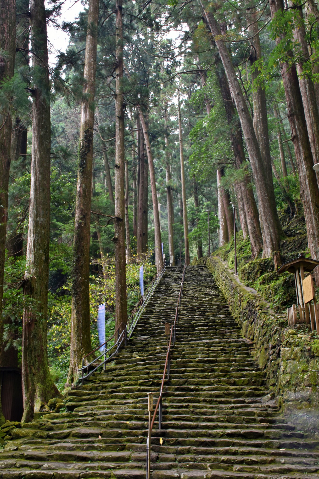 おすすめ撮影スポット】和歌山県 那智の滝 | トピックス | ご当地写真