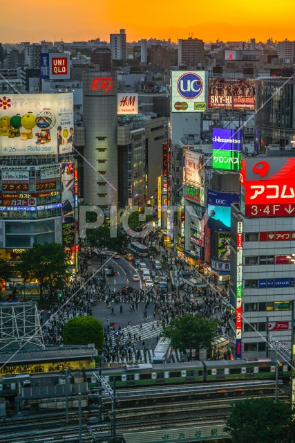 渋谷ヒカリエから見える渋谷スクランブル交差点