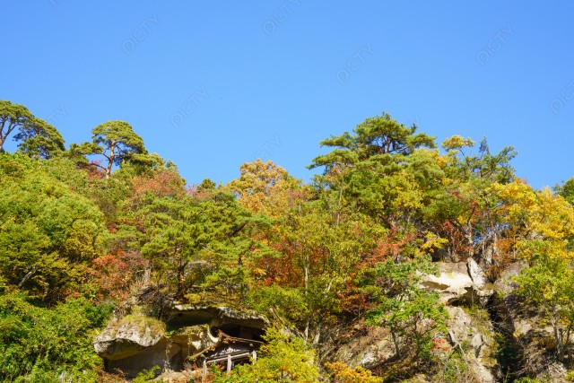 山形県山寺　宝珠山の木々
