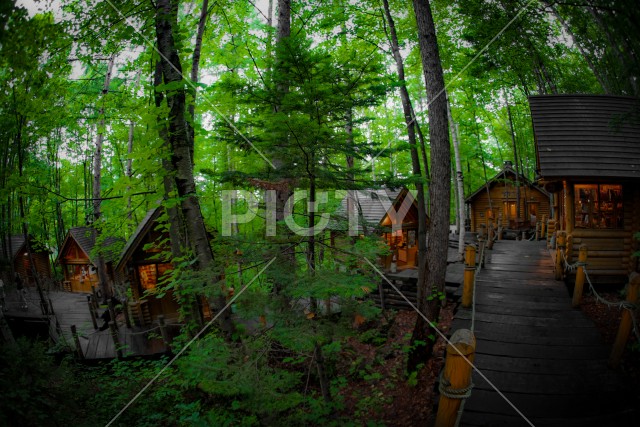 森の中に立つロッジのイメージ