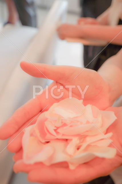 花びらを持つ女性の手のイメージ