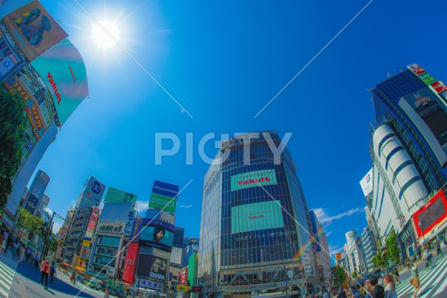渋谷の町並みと青空