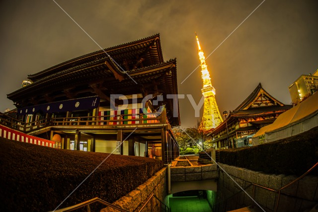 増上寺と東京タワーの夜景