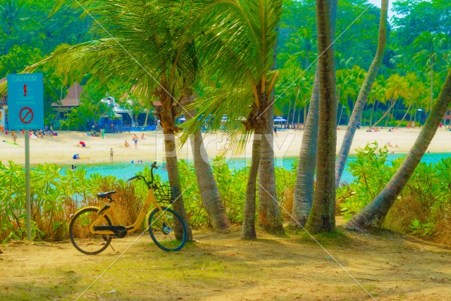 シンガポールセントーサ島のビーチと自転車