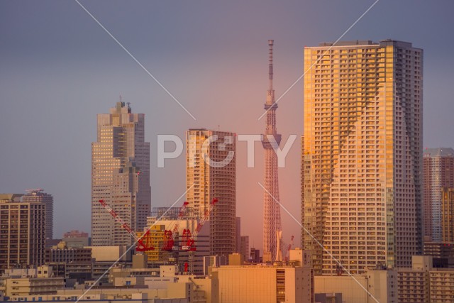 スカイツリーと東京のイメージ