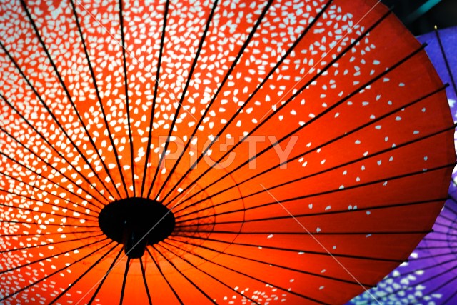 カラフルな和傘のイメージ