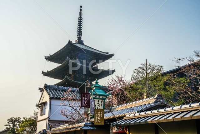 京都の街並みと五重塔
