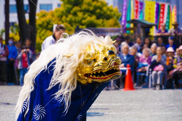 獅子舞のイメージ（日本文化）