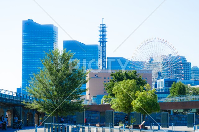 横浜の街並みと青空