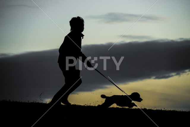 夕暮れの丘で犬の散歩をする人のシルエット