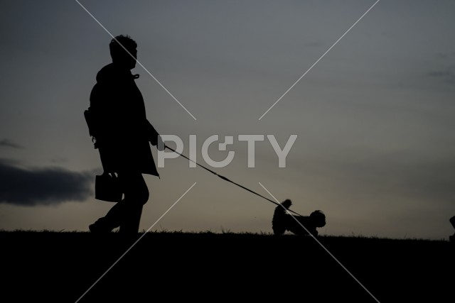夕暮れの丘で犬の散歩をする人のシルエット