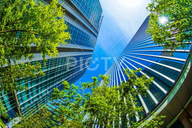 横浜みなとみらいの高層ビルと青空と新緑