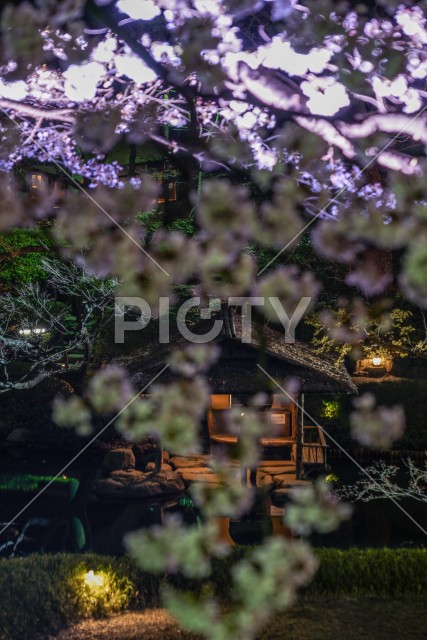 春の日本庭園のイメージ