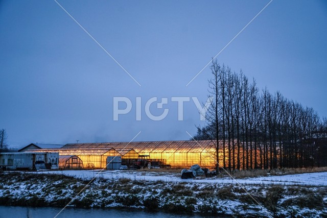 アイスランドのビニールハウスのイメージ