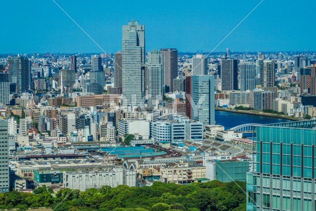 東京の街並みと築地市場