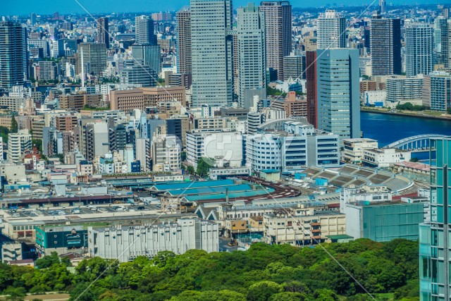 東京の街並みと築地市場
