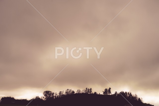 夕景と木のシルエットのイメージ
