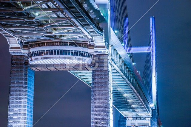 夜の横浜ベイブリッジ（大黒ふ頭から撮影）