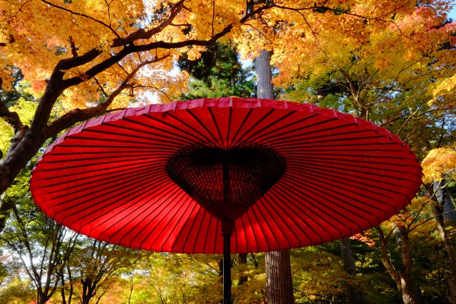 紅葉の中の番傘