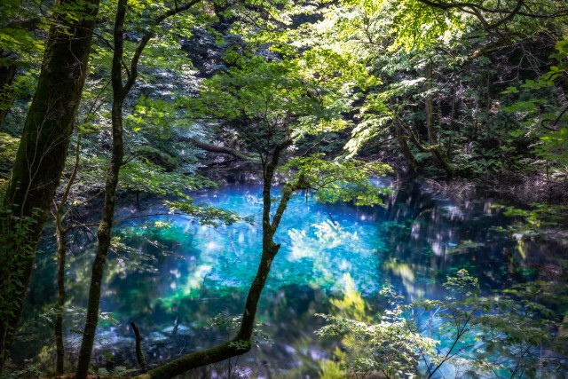 青森県白神山地沸壺の池