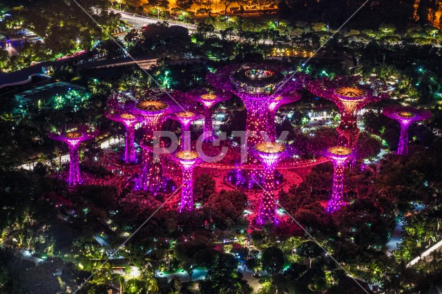 マリーナ・ベイ・サンズ展望台からの夜景（シンガポール）