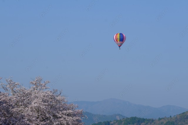 桜と熱気球