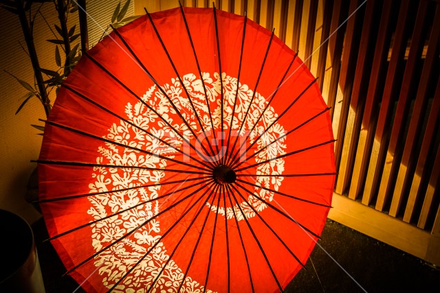 日本和傘のイメージ