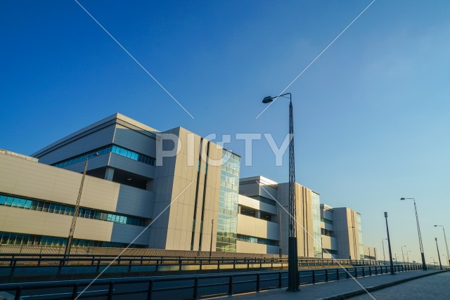 豊洲市場の建物のイメージ