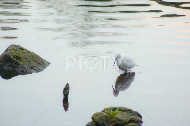 写真のタイトルが入ります