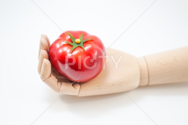 トマトを持つ木製の手