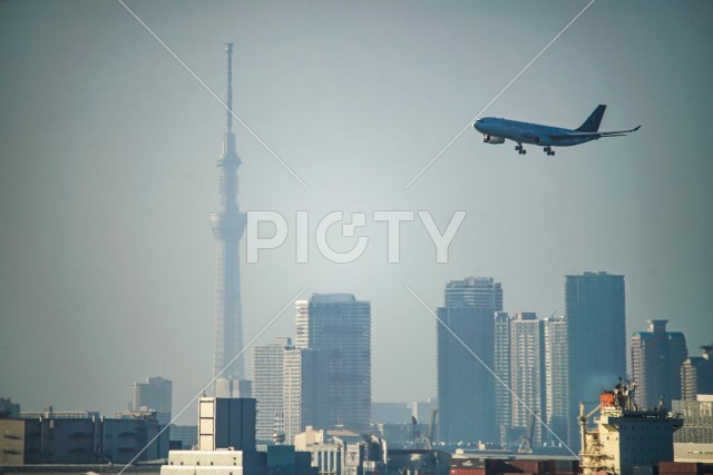 飛行機と東京スカイツリー