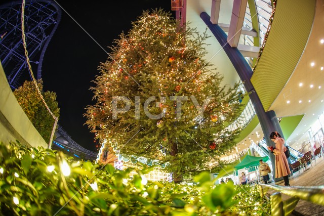 東京ドームシティーのクリスマスツリーと女性