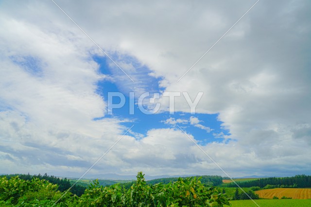 北海道の大草原のイメージ