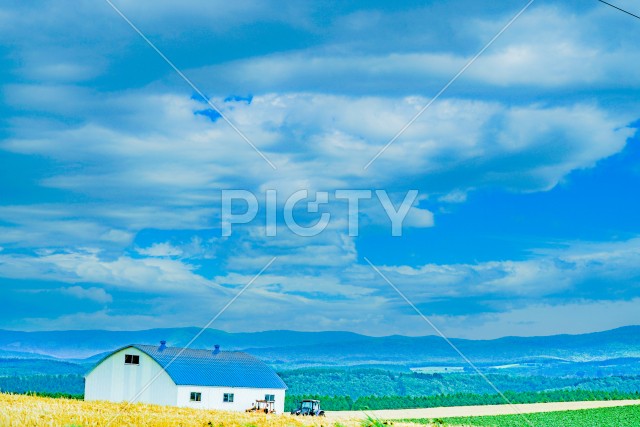 北海道の大草原のイメージ