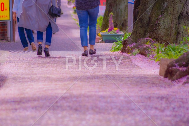 桜が舞い散る道と歩く人々