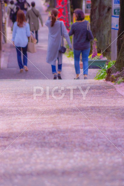 桜が舞い散る道と歩く人々