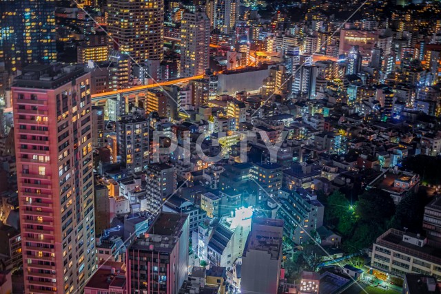 東京タワーから見える東京夜景