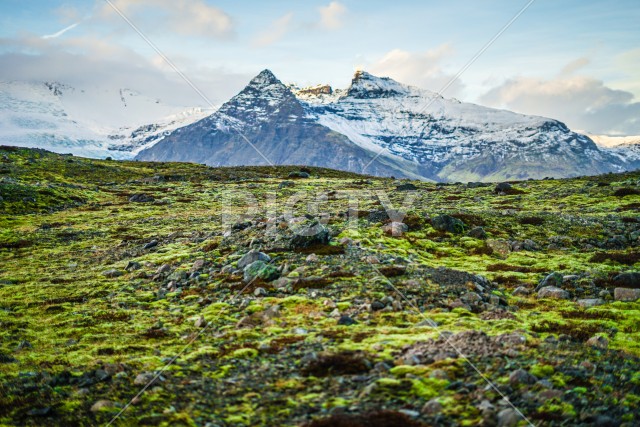 アイスランド・ヴァトナヨークトル氷山と草原