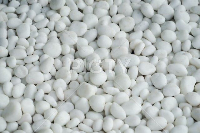 大量の白い丸石