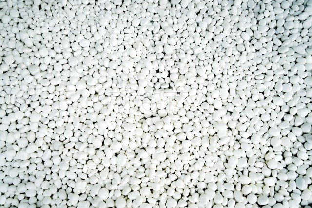 大量の白い丸石