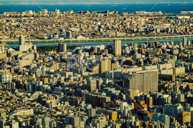 東京スカイツリーから見える荒川と東京の街並み