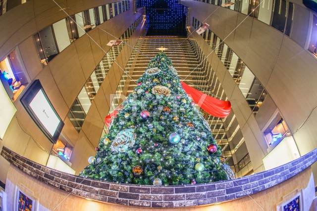クリスマスツリーと高層ビルのイメージ