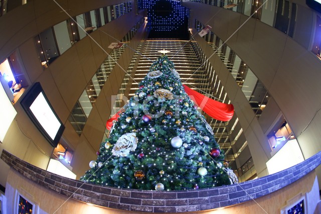 クリスマスツリーと高層ビルのイメージ