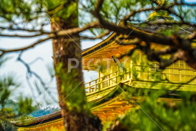 京都・金閣寺のイメージ