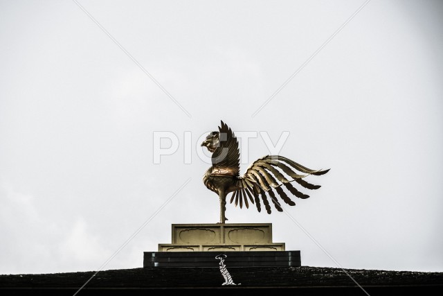 京都・金閣寺のイメージ