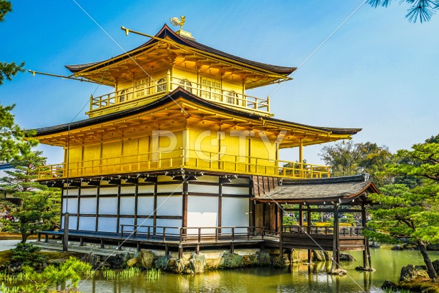 木の間から覗く京都・金閣寺