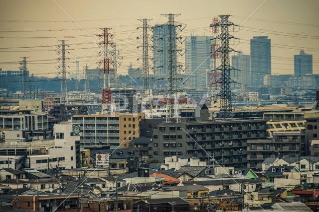 写真のタイトルが入ります