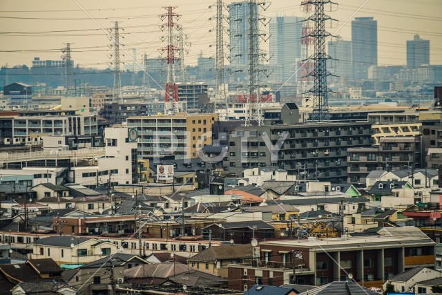 大倉山梅園から見える川崎市の街並み