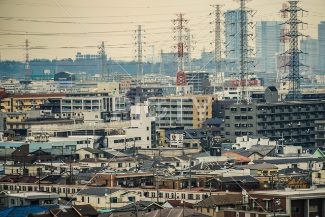 写真のタイトルが入ります