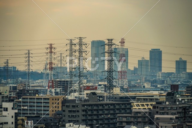 写真のタイトルが入ります